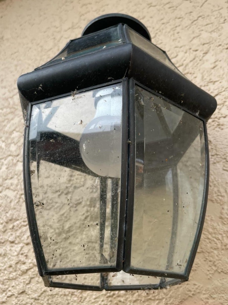 outdoor lighting before