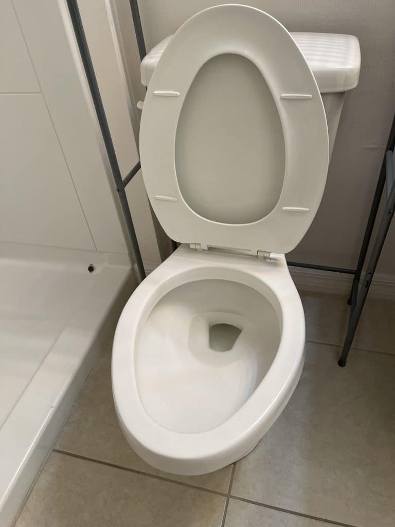 clean toilet